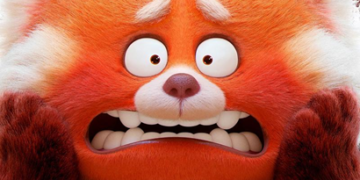 Panda merah turning red