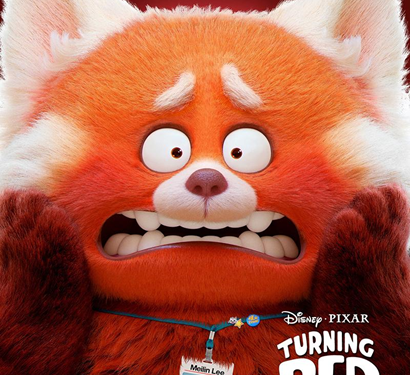 Panda merah turning red