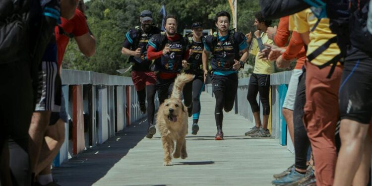Review “Arthur the King”